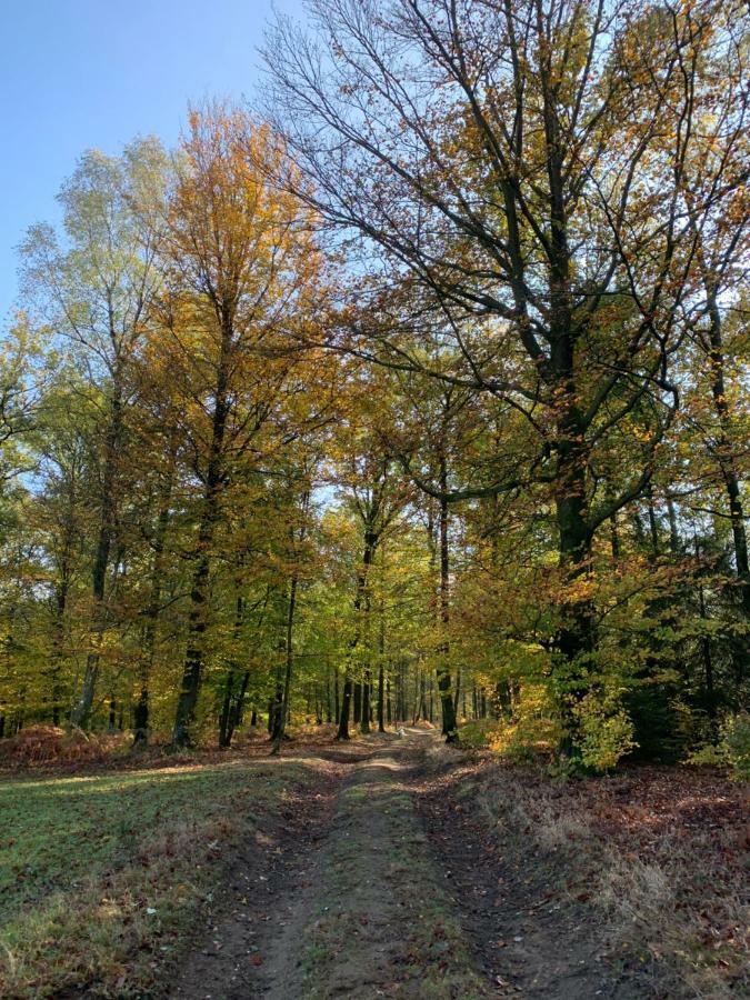 Gites La Tabatiere Laforêt Eksteriør billede